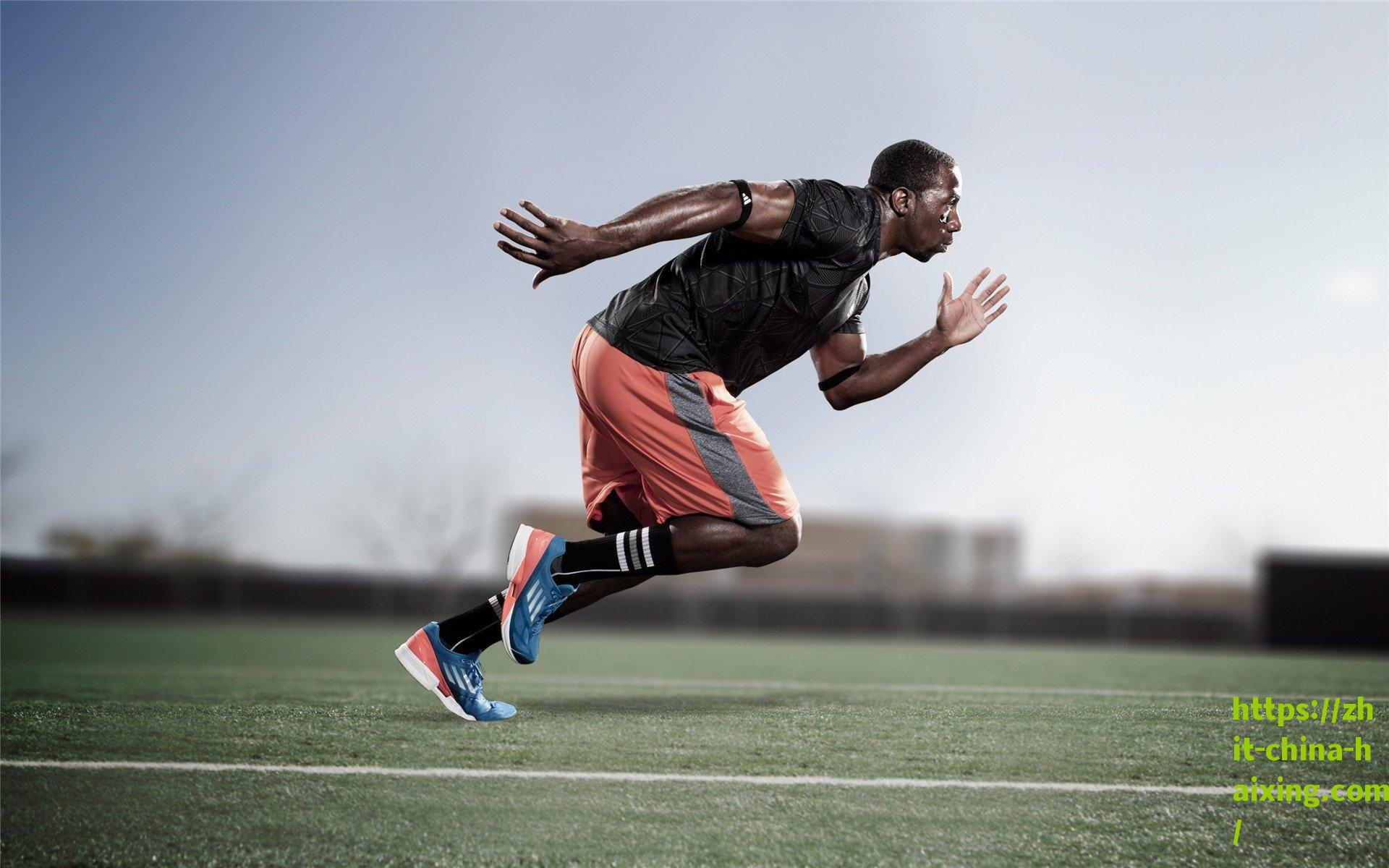 红牛车手马尔科坦言，维斯塔潘卫冕车手总冠军已无望