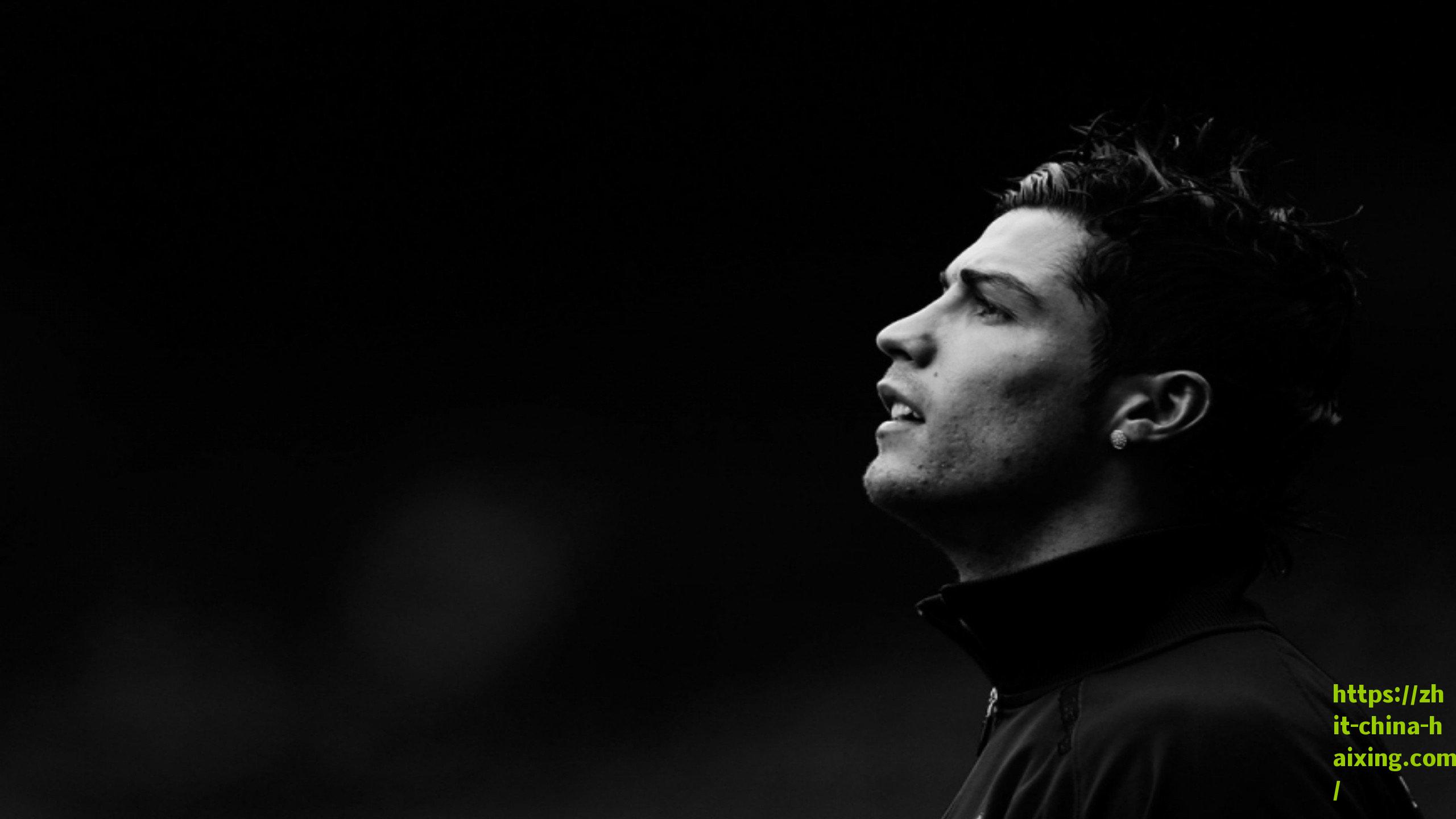 联盟祭出零容忍政策重拳，击打鹈鹕助教球迷遭无限期禁赛并面临法律追责