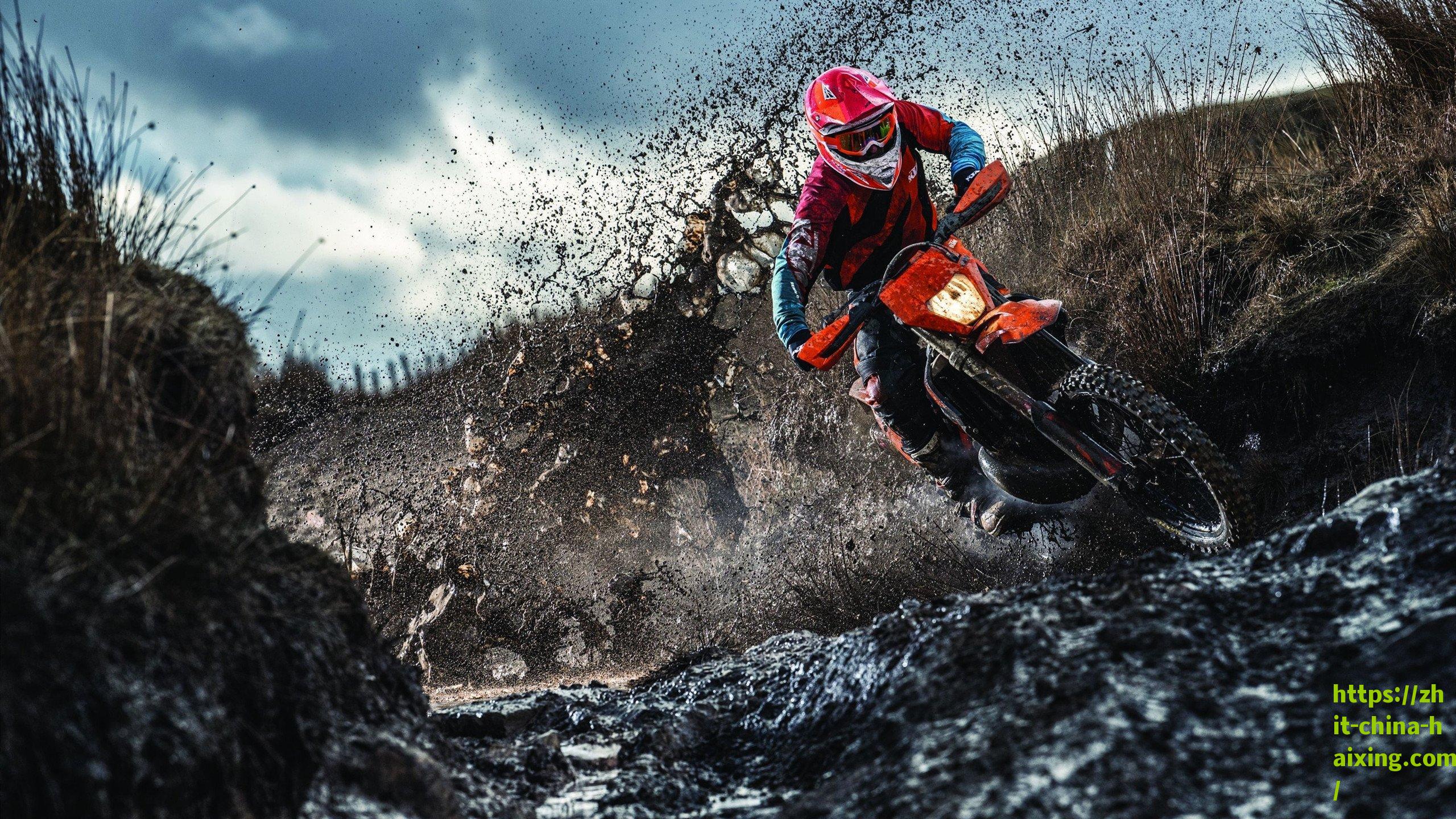 雄鹿火速签下篮网弃将 卡特能为卫冕冠军带来什么?